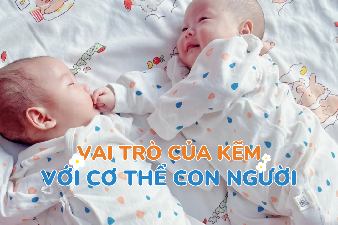 Vai trò của kẽm đối với cơ thể con người