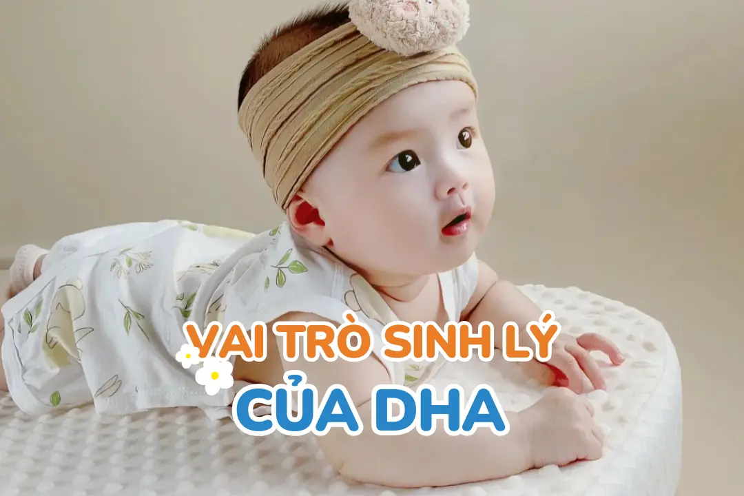 Vai trò sinh lý của DHA