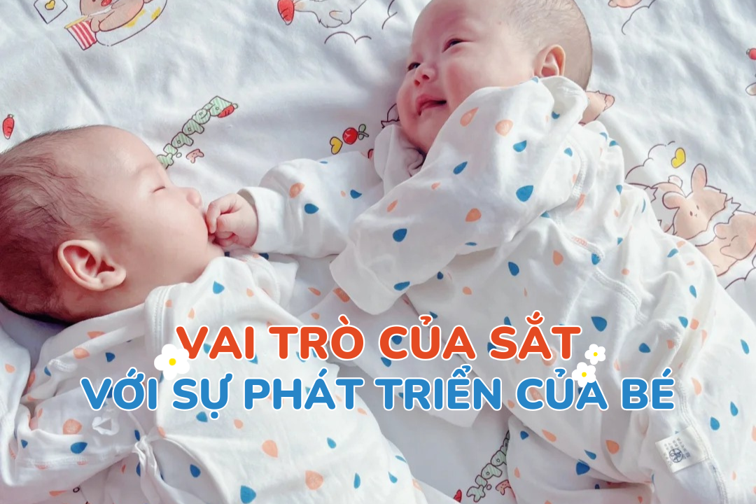 Vai trò của sắt đối với sự phát triển của bé