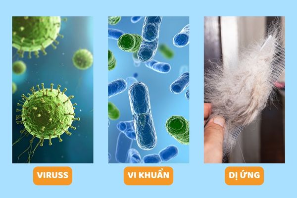 nguyen-nhan-viem-duong-ho-hap-tren-o-tre